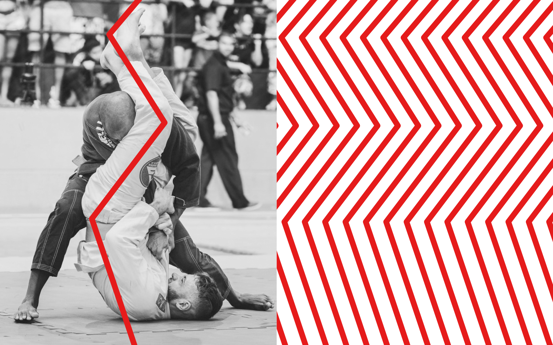 Trainerakademie_Corporate_Design-Composing_1