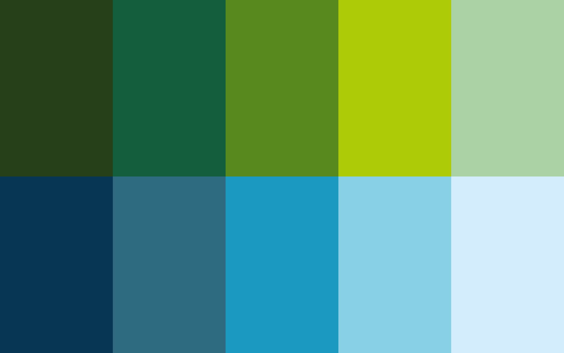 Trainerakademie_Corporate_Design-Farbe_2